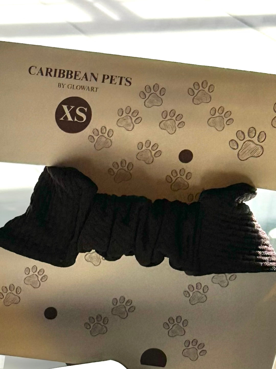 chocolate CARIBBEAN PETS