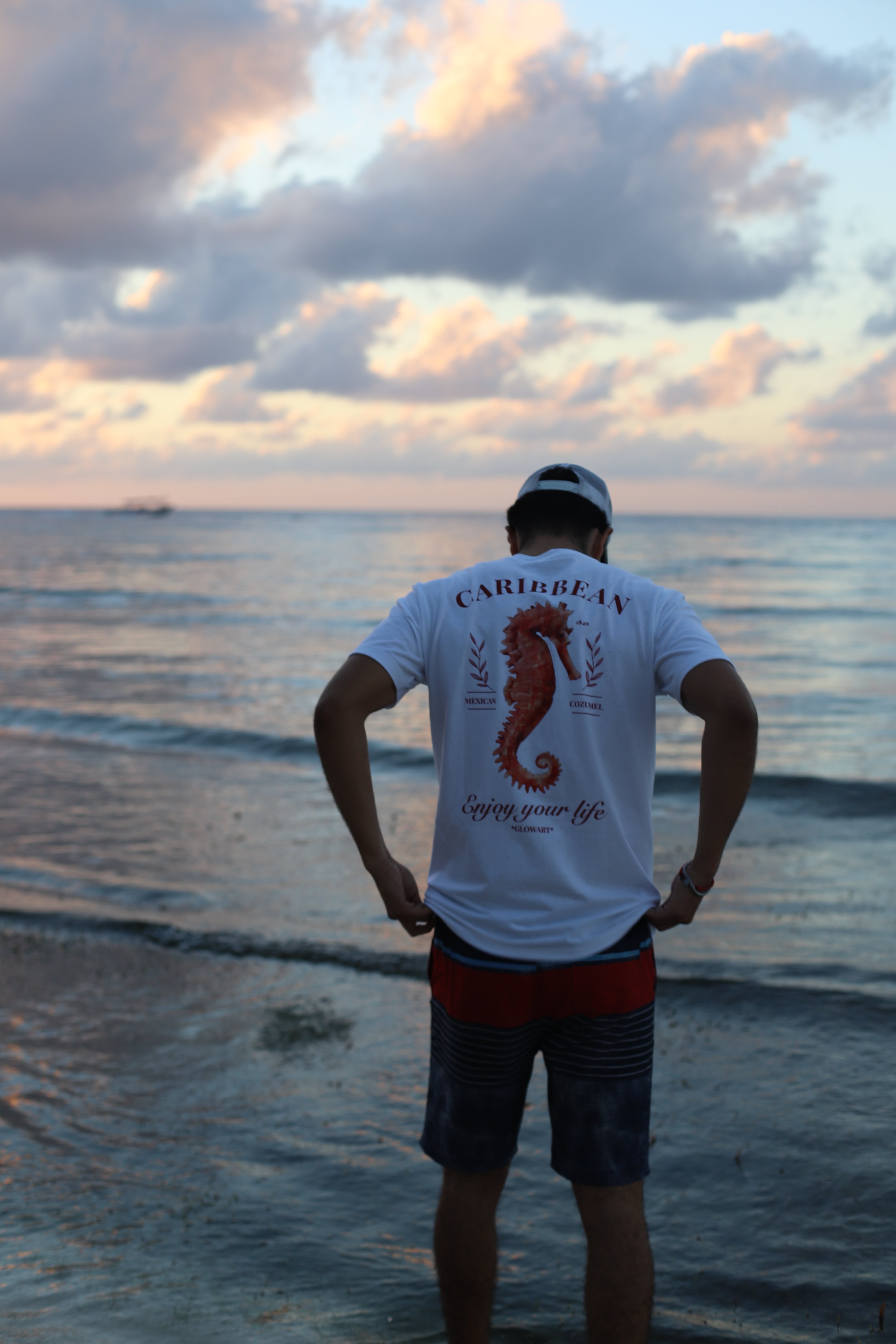 CAMISA SEAHORSE-chicos