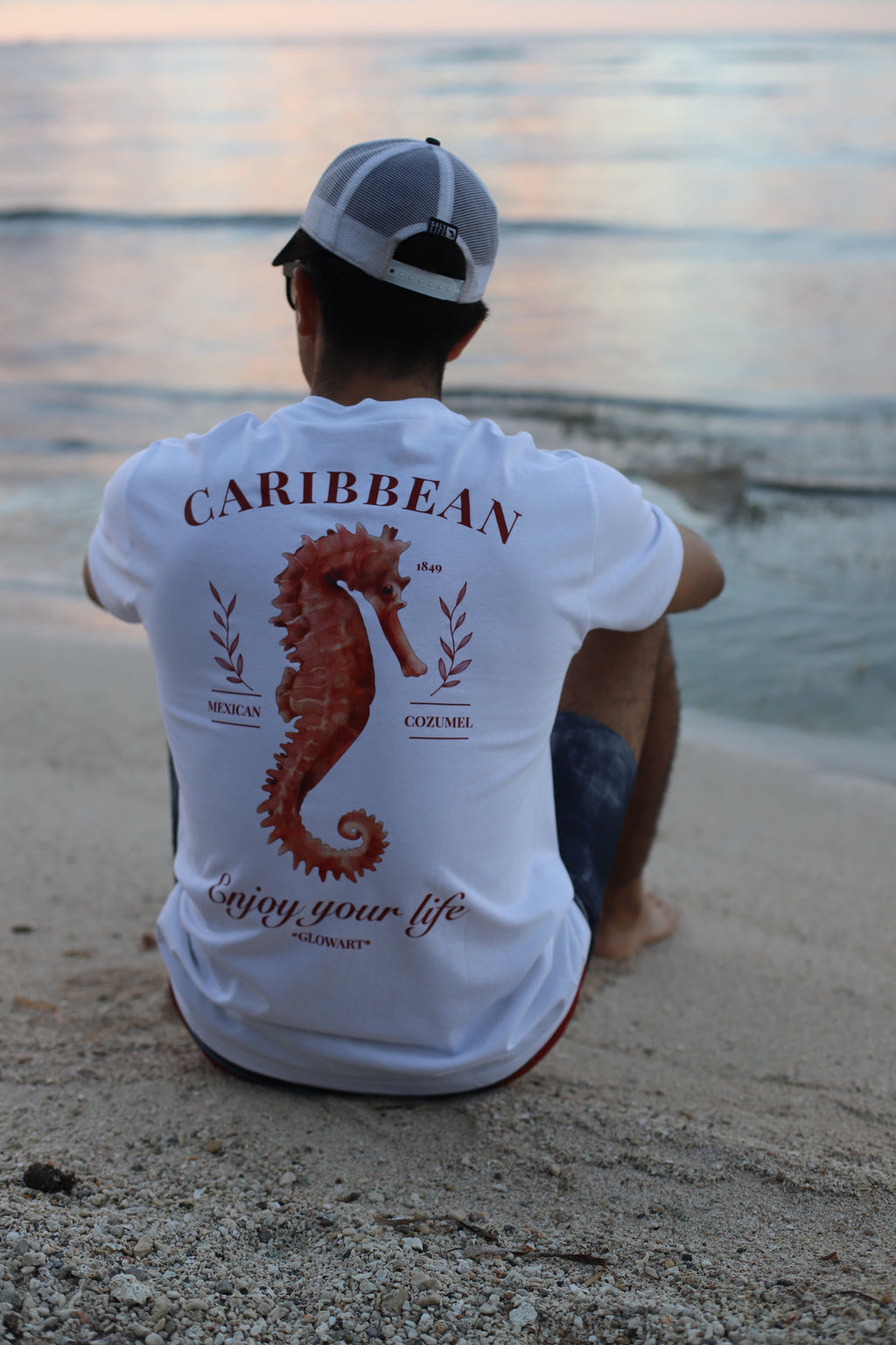 CAMISA SEAHORSE-chicos