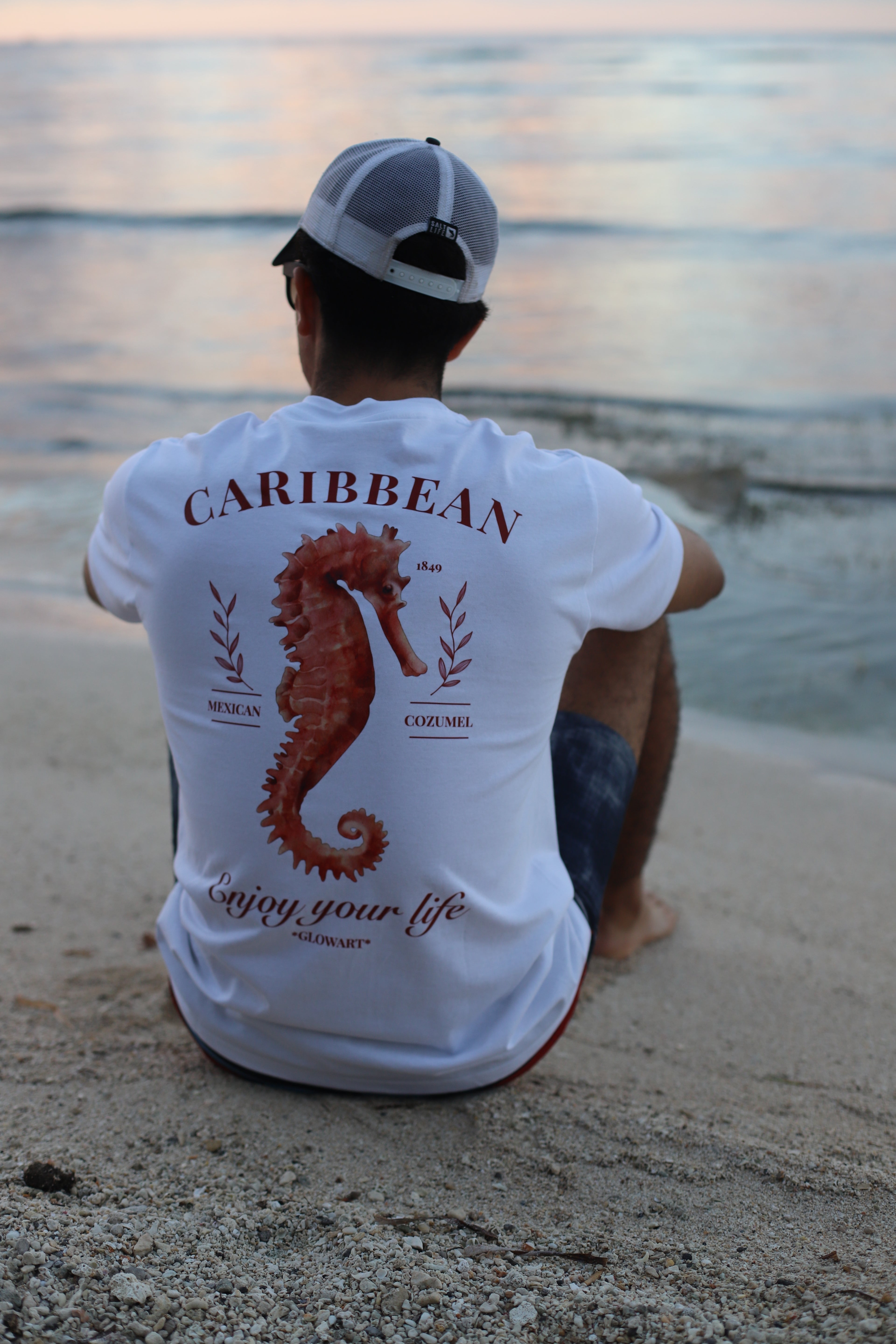 CAMISA SEAHORSE-chicos