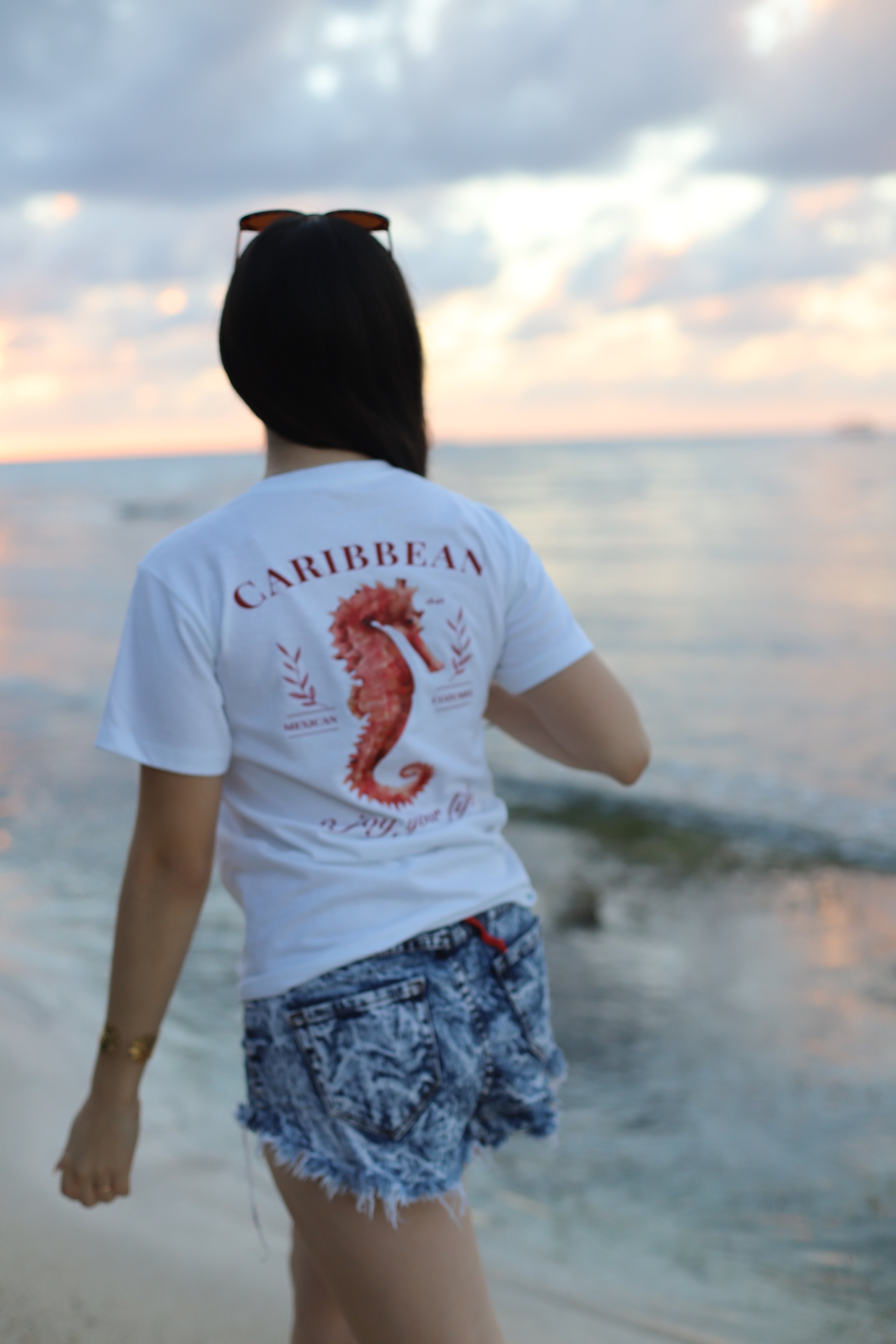CAMISA SEAHORSE-chicas