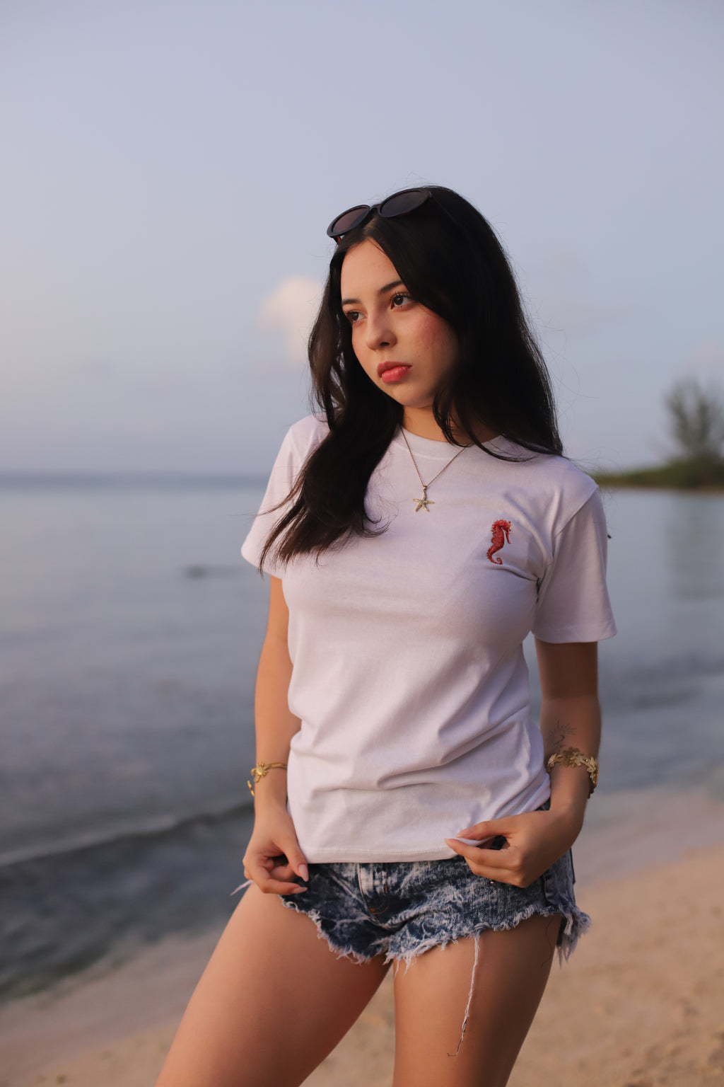 CAMISA SEAHORSE-chicas