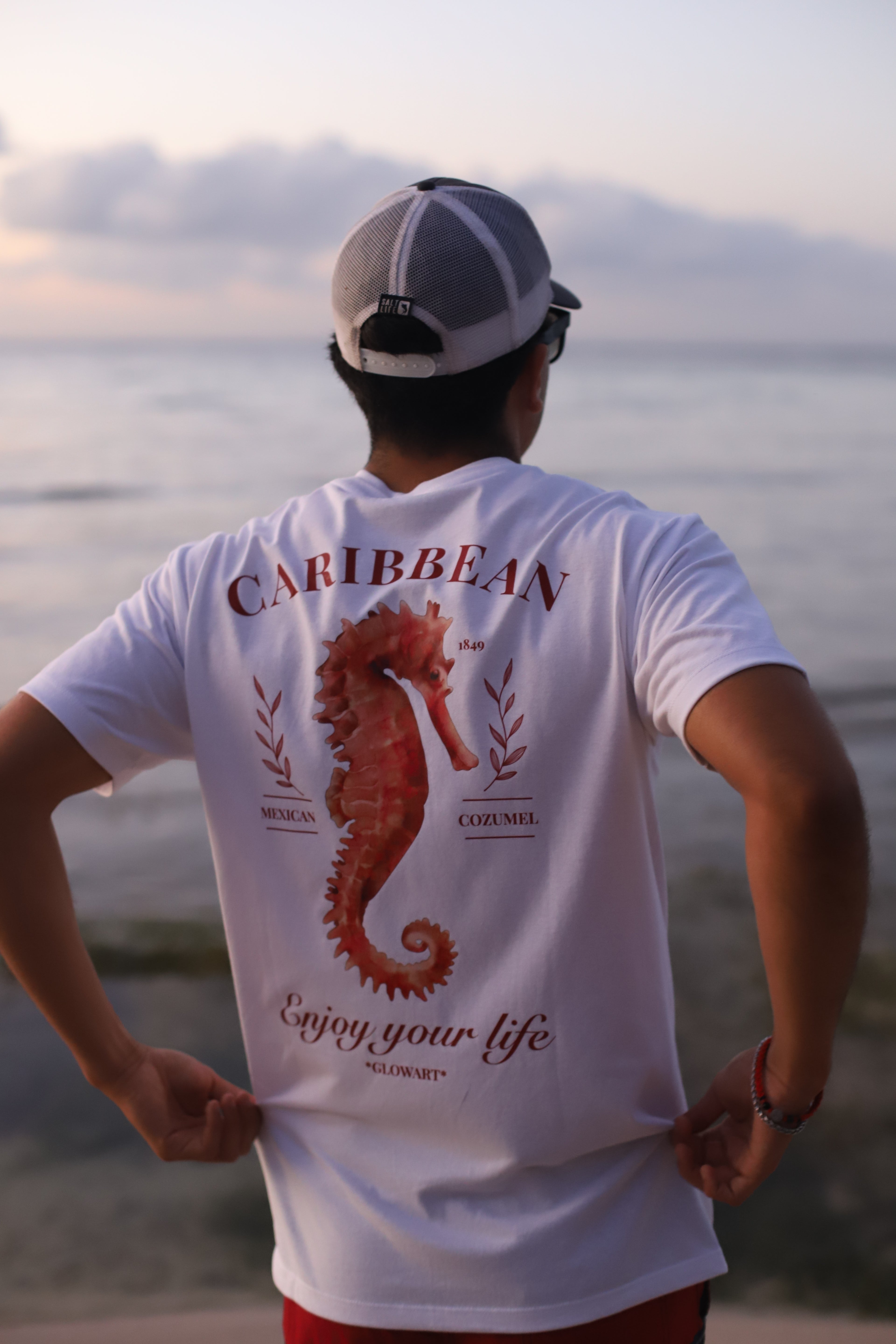 CAMISA SEAHORSE-chicos