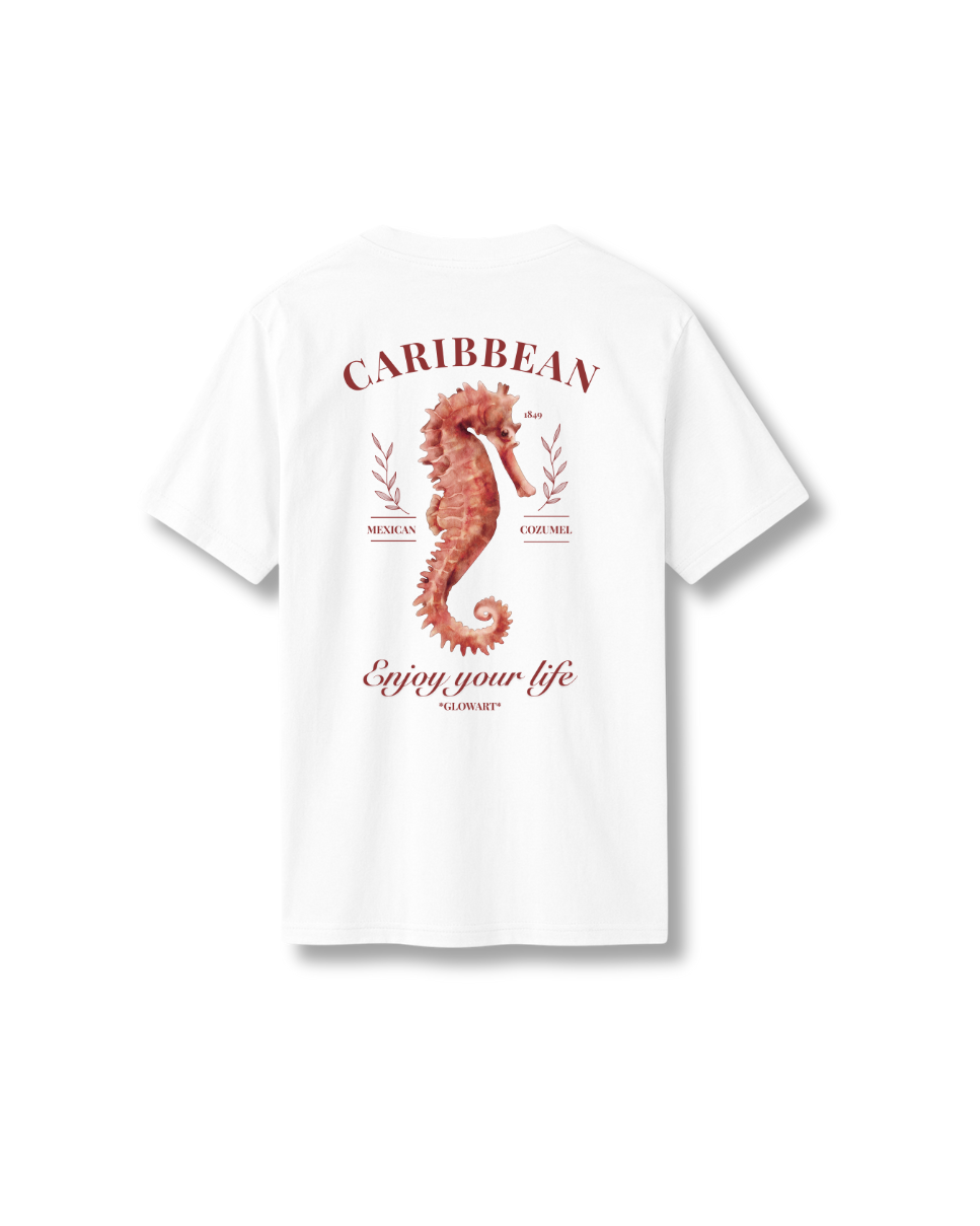 CAMISA SEAHORSE-chicos