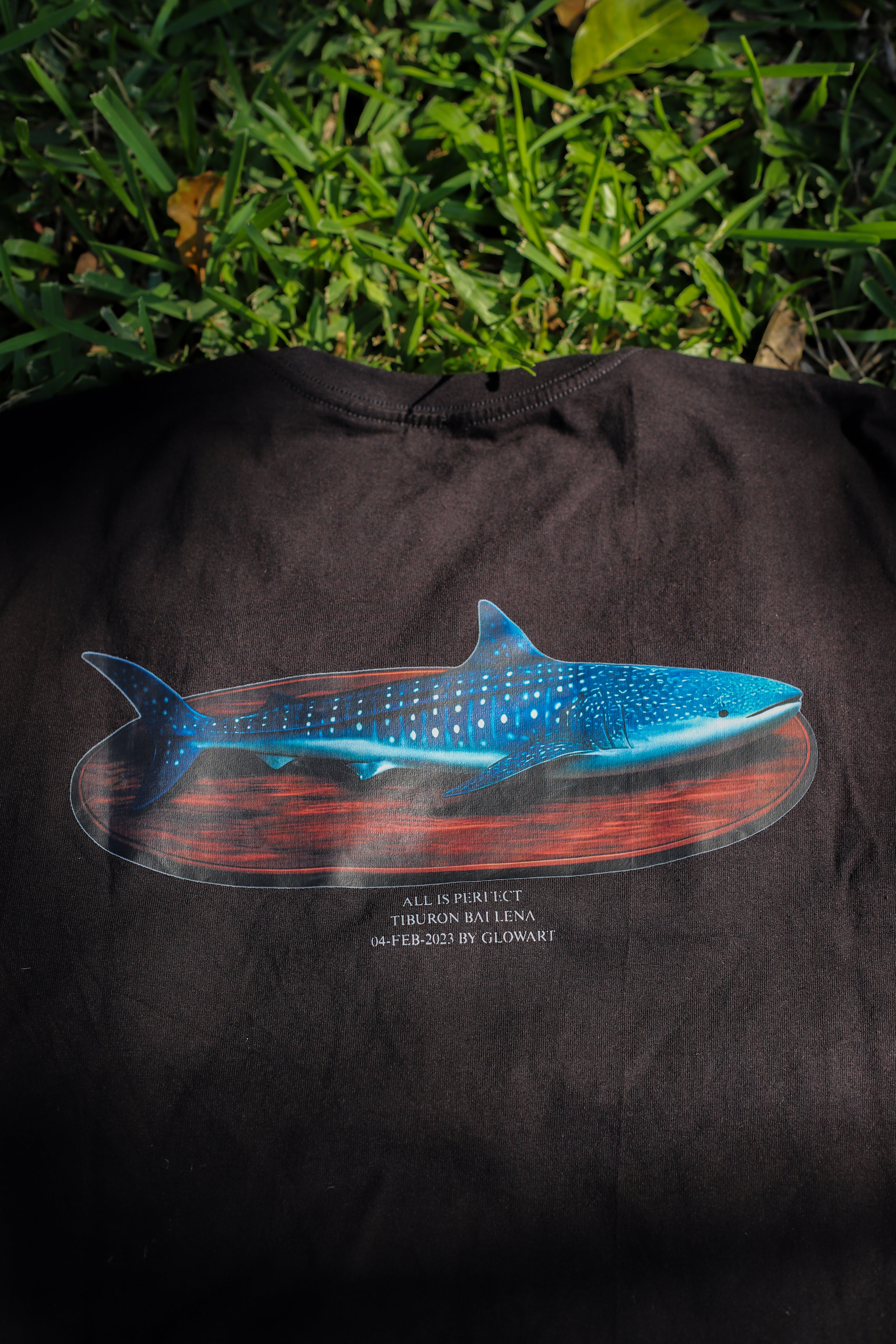 oversizes  whale shark fishing trophy