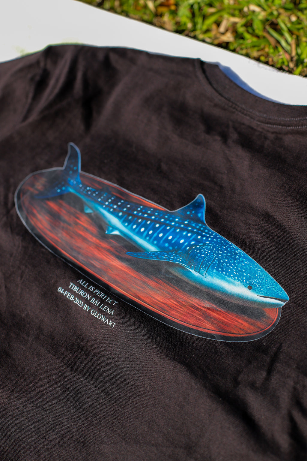 oversizes  whale shark fishing trophy