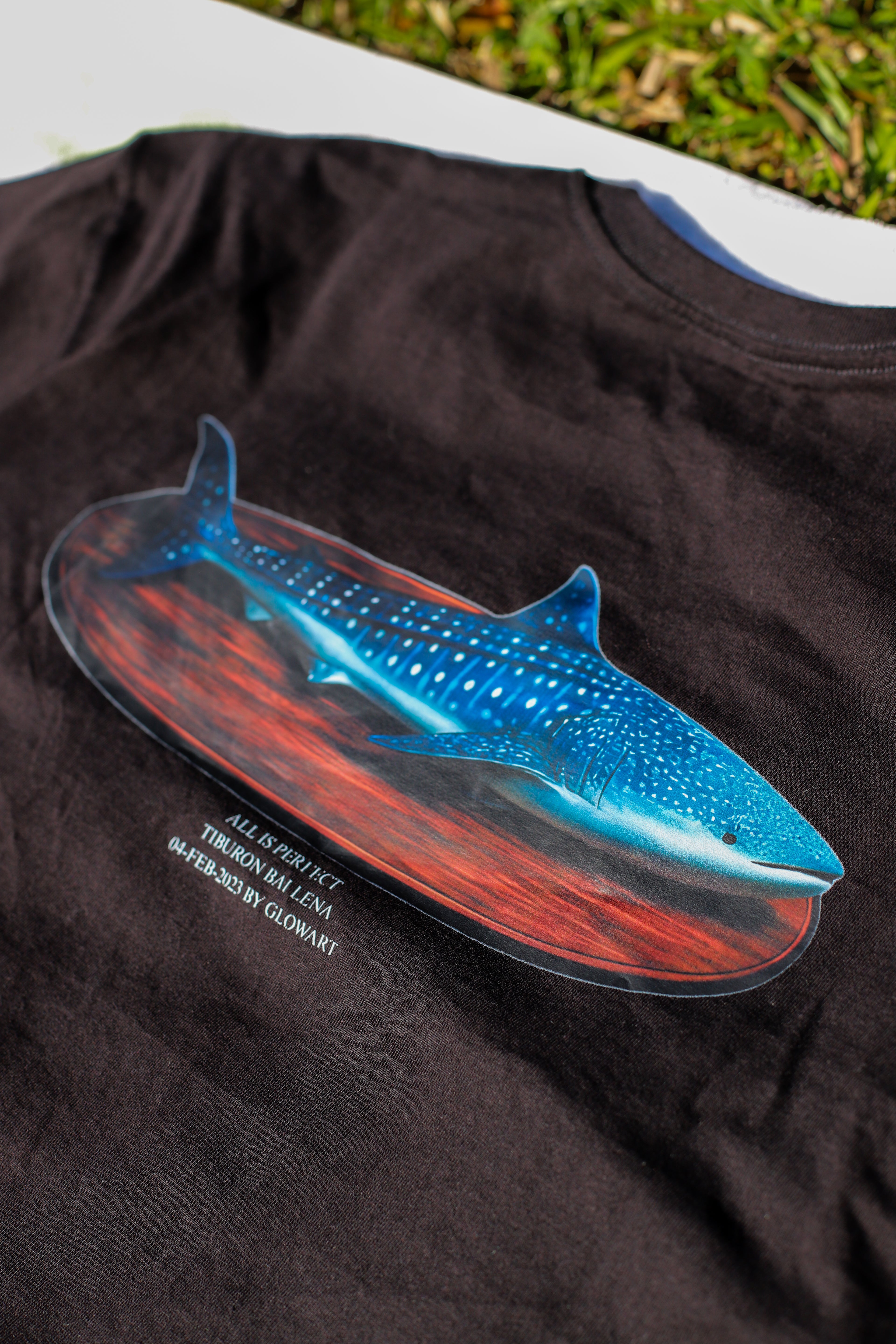 oversizes  whale shark fishing trophy